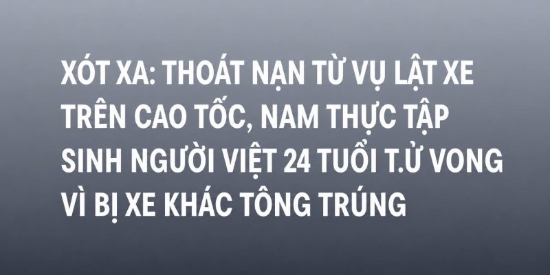 Nam thực tập sinh Việt tử vong trên cao tốc Nhật Bản sau vụ lật xe